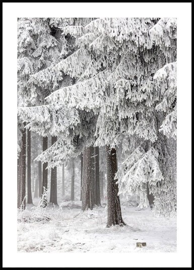 Winter Forest 2 Plakat / 100x150cm