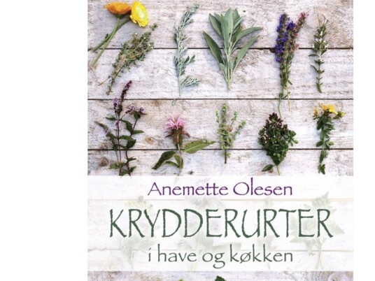 Krydderurter I Have Og Køkken | Anemette Olesen | Språk: Dansk