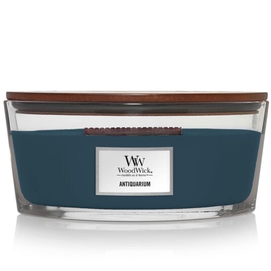 Woodwick Ellipse   Antiquarium