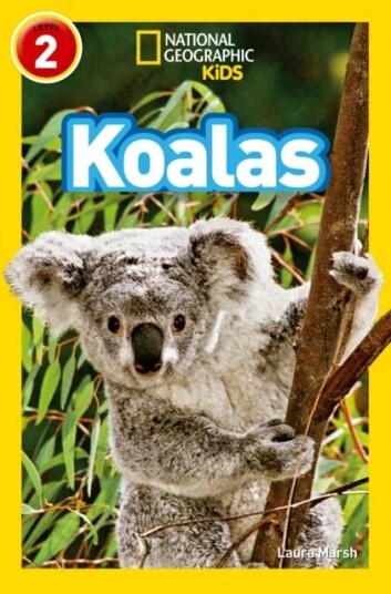 Koalas Av Laura Marsh, National Geographic Kids