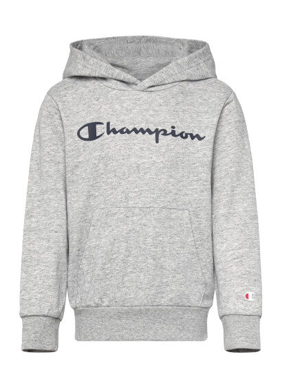 Champion Hooded Sweatshirt Grey 102 107