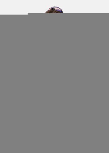Swedemount Core Bike Tee W Swedemount Core Bike Tee W