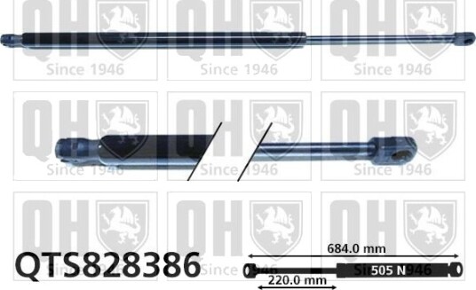 QUINTON HAZELL QTS828386 Baklukedemper