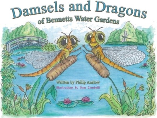 Damsels and Dragons of Bennetts Water Gardens Damsels and Dragons of Bennetts Water Gardens