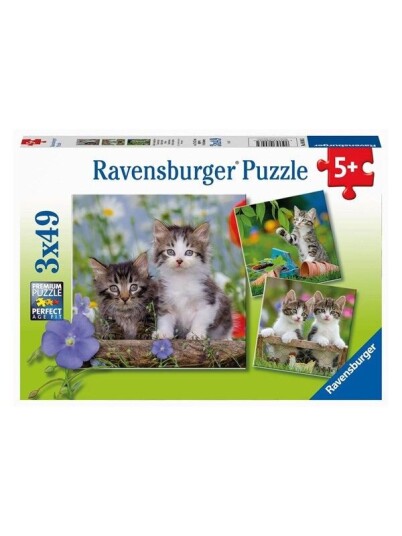 Ravensburger Jigsaw puzzle Young Kittens 3x49pcs. Gulv