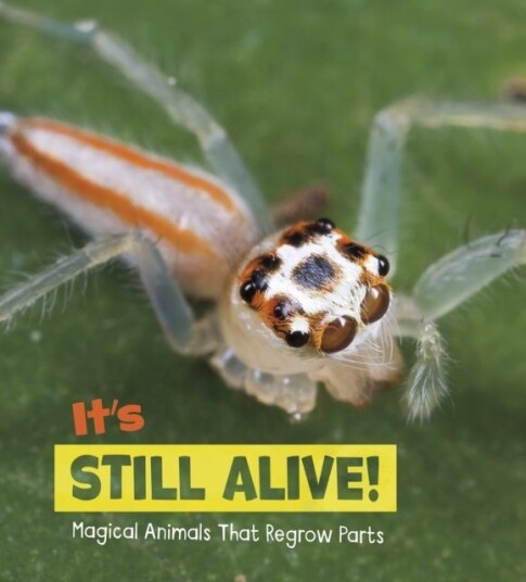 It's Still Alive! It's Still Alive!
