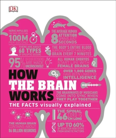 How The Brain Works Av Dk