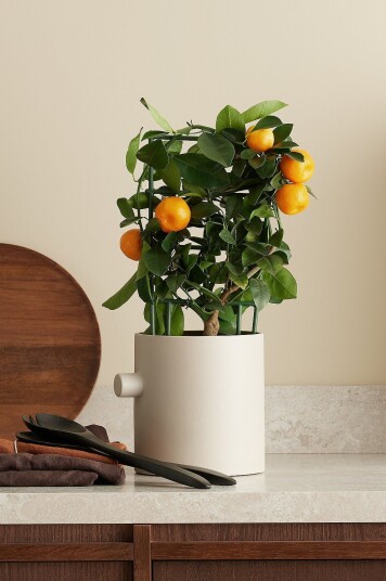 DBKD Krukke KNOB Pot large Natur DBKD Krukke KNOB Pot large Natur