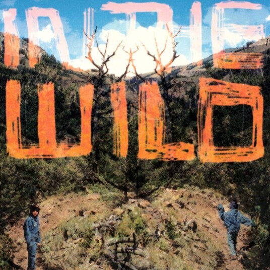 Faltydl In The Wild Vinyl