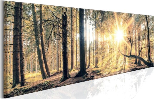 Tavla Autumn Retreat VALUE_MISSING_3 135x45