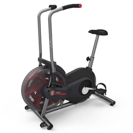 Schwinn Airdyne AD2 Schwinn Airdyne AD2