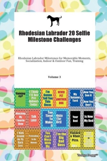 Rhodesian Labrador 20 Selfie Milestone Challenges Rhodesian Labrador Milestones for Memorable Moment