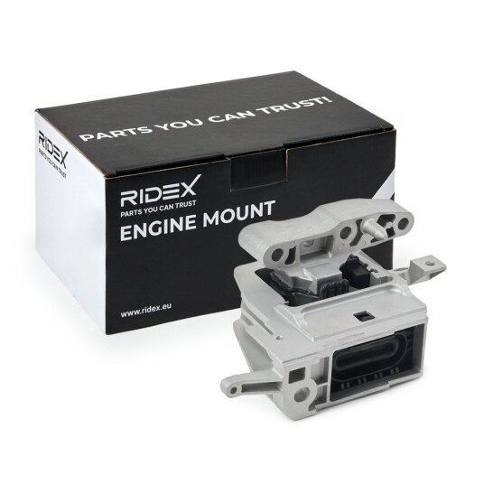 Motorfeste RIDEX 247E0830