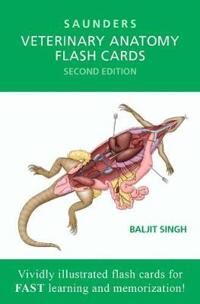 Veterinary Anatomy Flash Cards Av Baljit (Dean And Professor Faculty Of Veterinary Medicine At University Of Calgary) Singh