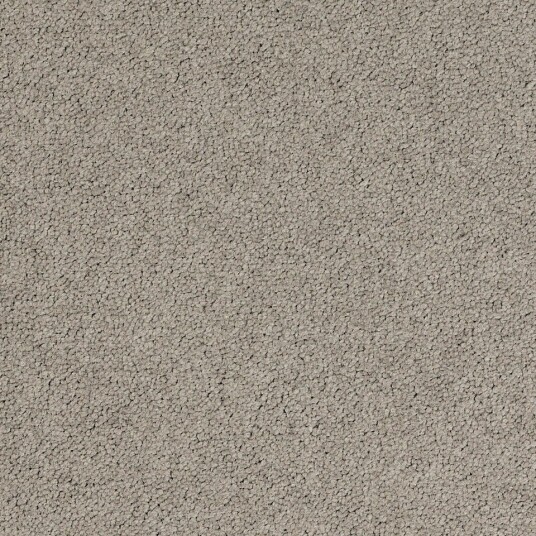 Teppeflis DESSO Palatino A072 2923