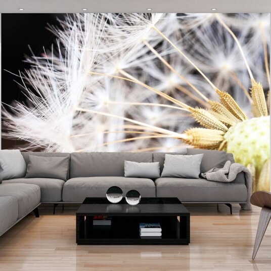 Fototapet Fluffy Dandelion 350x245 - Artgeist sp. z o. o.