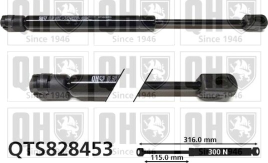 QUINTON HAZELL QTS828453 Baklukedemper
