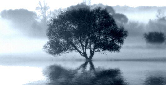 Kanvas Sprint Tree 70x130cm