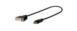 VivoLink Pro - Skjermkabel - DisplayPort (hann) til DVI-D (hann) - låst, tommelskruer, 4K-støtte