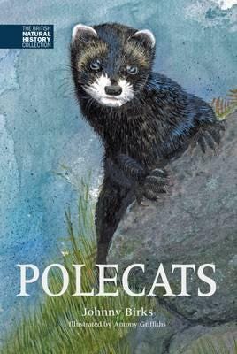 Polecats Av Johnny Birks