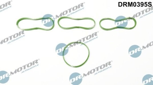Pakkningssett innsugningsmanifold Dr.Motor Automotive DRM0395S