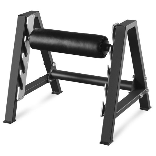 Master Fitness Split Squat