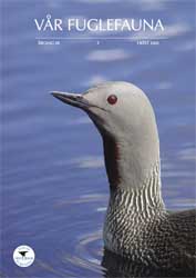 Norsk Ornitologisk Forening Vår Fuglefauna   2005 3 årgang 28