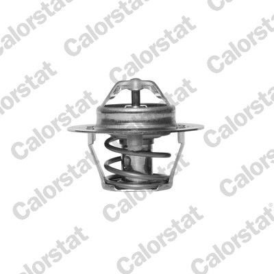Termostat CALORSTAT by Vernet TH5977.88J