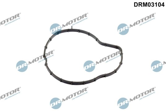 Pakning vannpumpe DR.MOTOR AUTOMOTIVE DRM03104