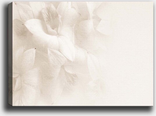 Lerretsbilde 70x100 cMyke blomster i subtile hvite nyanser Hvit / Lys beige