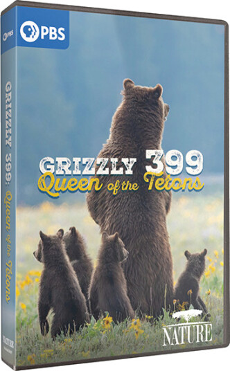 NATURE: Grizzly 399 Queen of the Tetons DVD