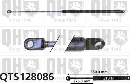 QUINTON HAZELL QTS128086 Baklukedemper