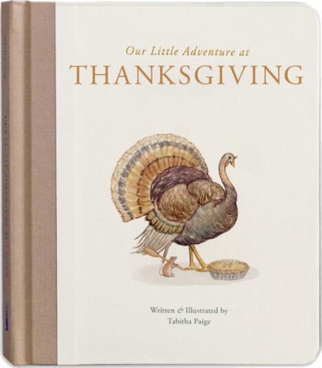 Our Little Adventure at Thanksgiving  Featuring Foundational Language Concepts and Lessons on Gratitude