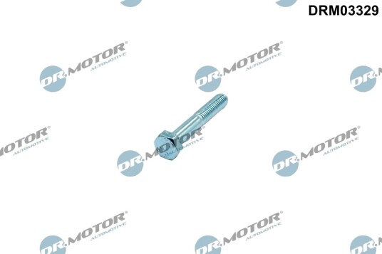 Bolt, innsprøytningsdyse holder Dr.Motor Automotive DRM03329