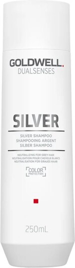 Goldwell Dualsenses 250 ml Lilla Sjampo for Blondt og Farget Hår Goldwell Dualsenses 250 ml Lilla Sjampo for Blondt og Farget Hår