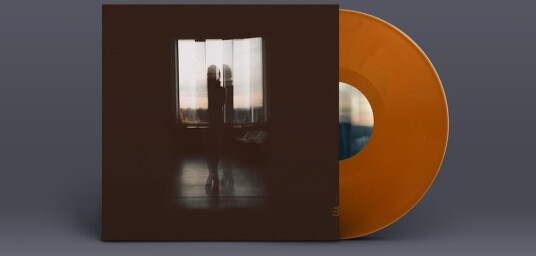 Frames Textured Gold Vinyl