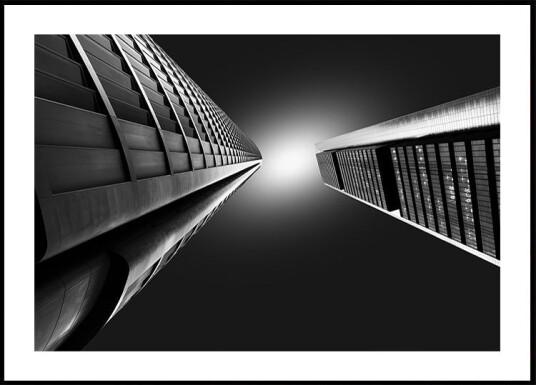 Raise to the light Plakat Plakat / 21x30cm Raise to the light Plakat Plakat / 21x30cm