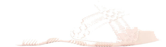 Burberry Dame Sko Rosa 36 EU,
