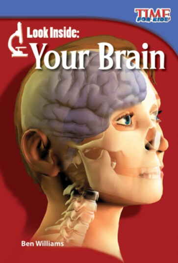 Look Inside  Your Brain