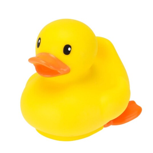 B Kids Wind up Infantino bathing duck