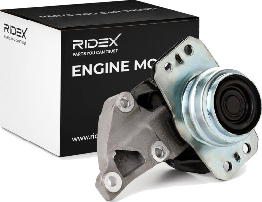 RIDEX 247E0195 Motorfeste