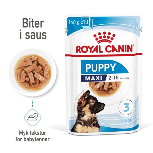 Royal Canin Maxi Puppy 10 x 140 g Våtfôr til Valp