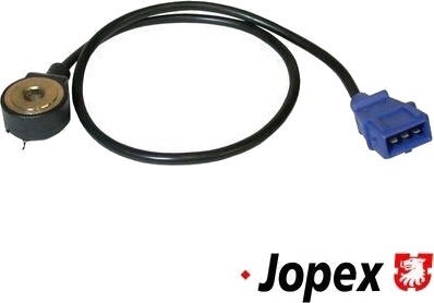Bankesensor JP GROUP 1193700200