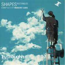 Diverse Electronica Shapes Rectangles (Compiled By Robert Luis) CD