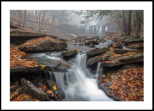Morning Fog Plakat / 50x70cm Morning Fog Plakat / 50x70cm