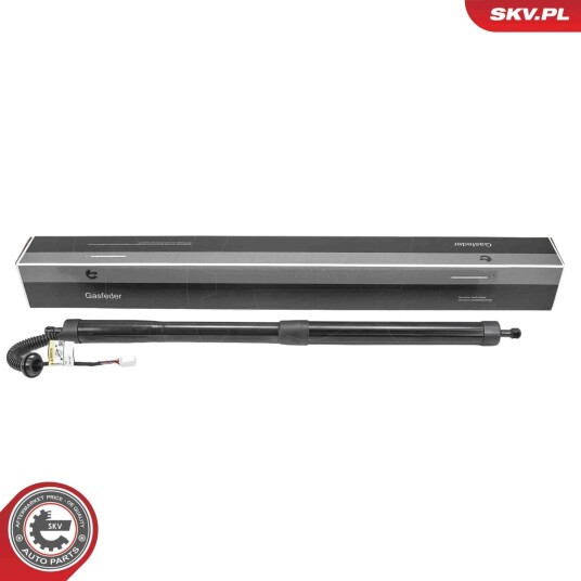 Elektromotor bakluke ESEN SKV 52SKV296