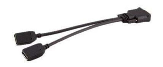HP DMS-59 to Dual DisplayPort Kit