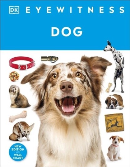 Eyewitness Dog Eyewitness Dog