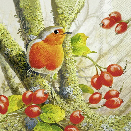 Servietter Robin in the forrest lunsj Servietter Robin in the forrest lunsj