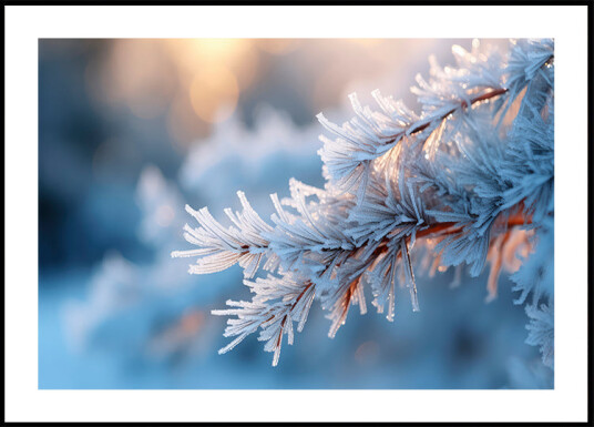 Frosted Serenity Plakat Plakat / 50x70cm